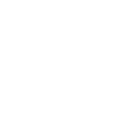 logo_interim