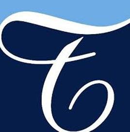 transperfect logo