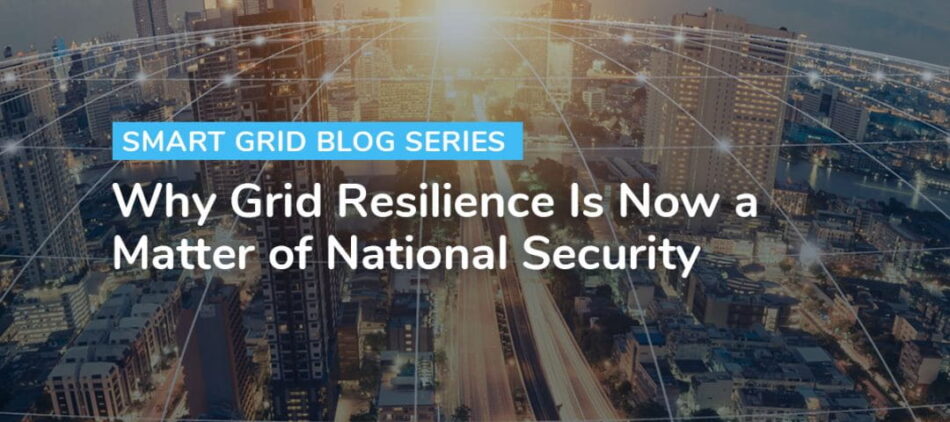Grid Resilience