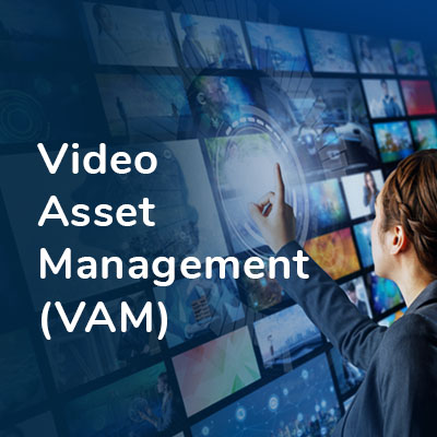 Video Asset Management